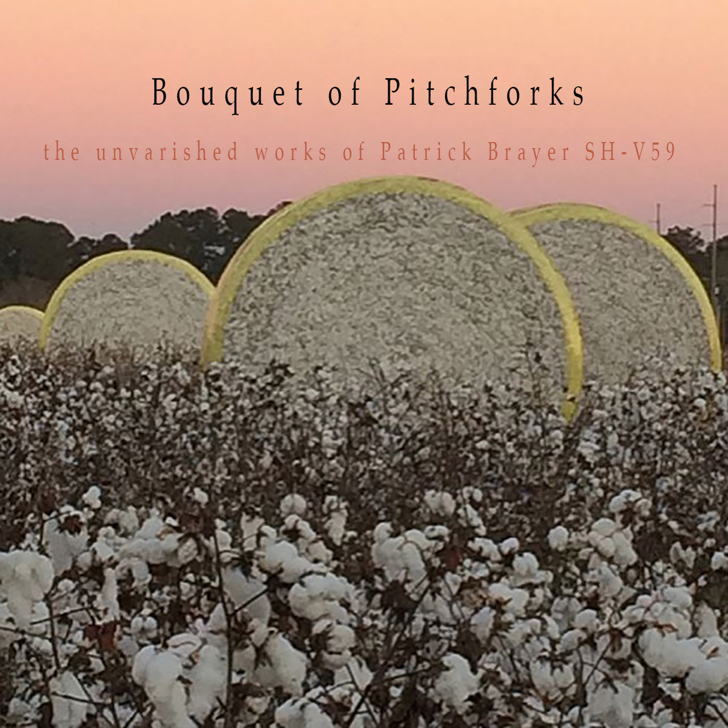 SH-V59 Bouquet cov.jpg