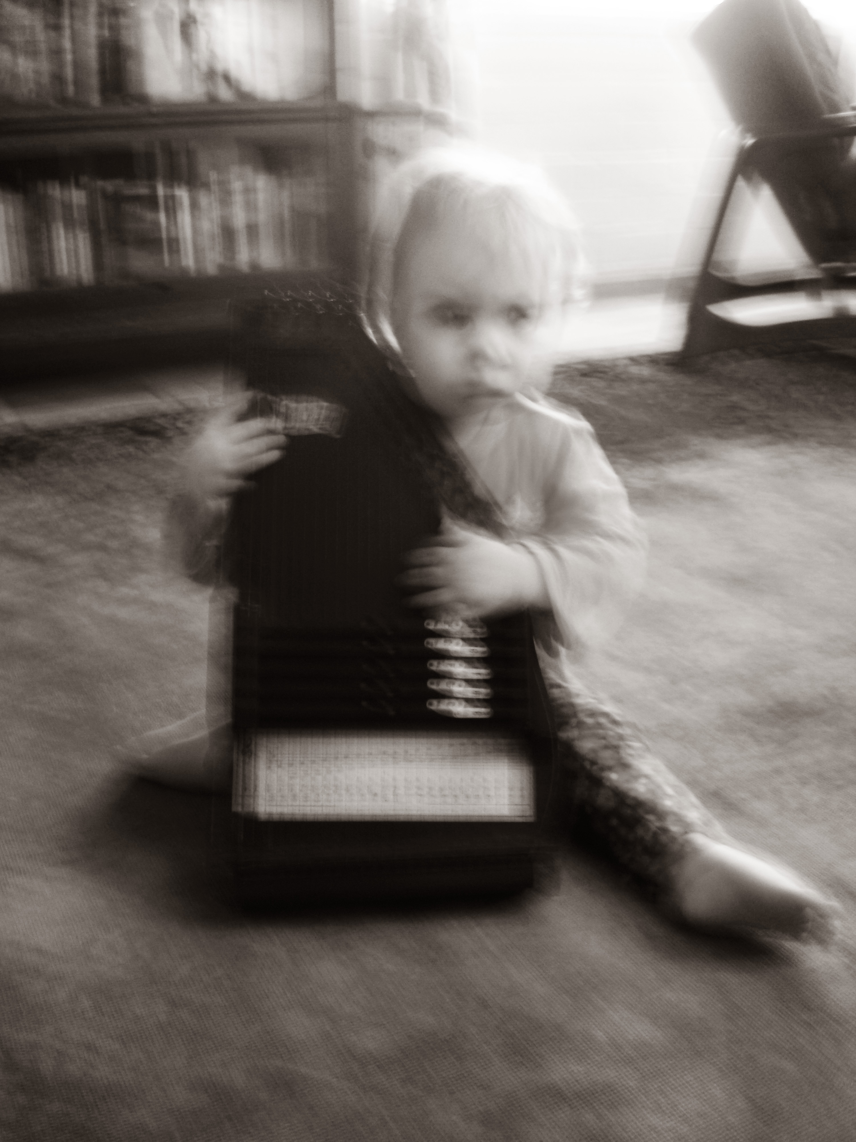 EFB autoharp blur BW.jpg